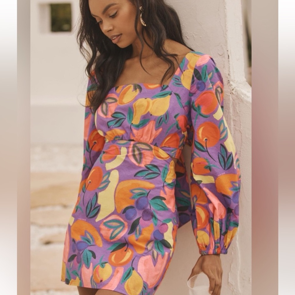 Farm Rio Long Sleeve Dress